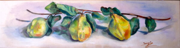 Membrillos de la parcela